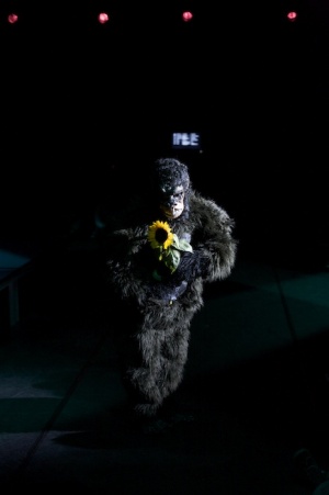 Superamas gorilla girl