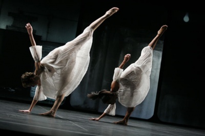 Trisha Brown Glacial Decoy