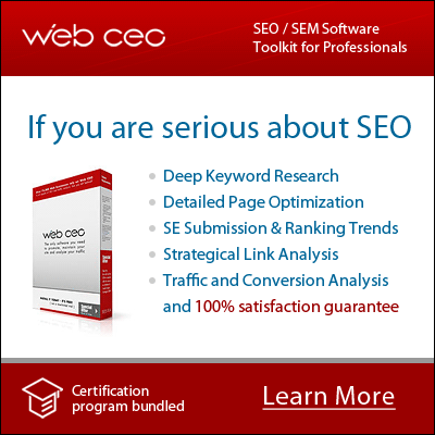 WebCEO Banner